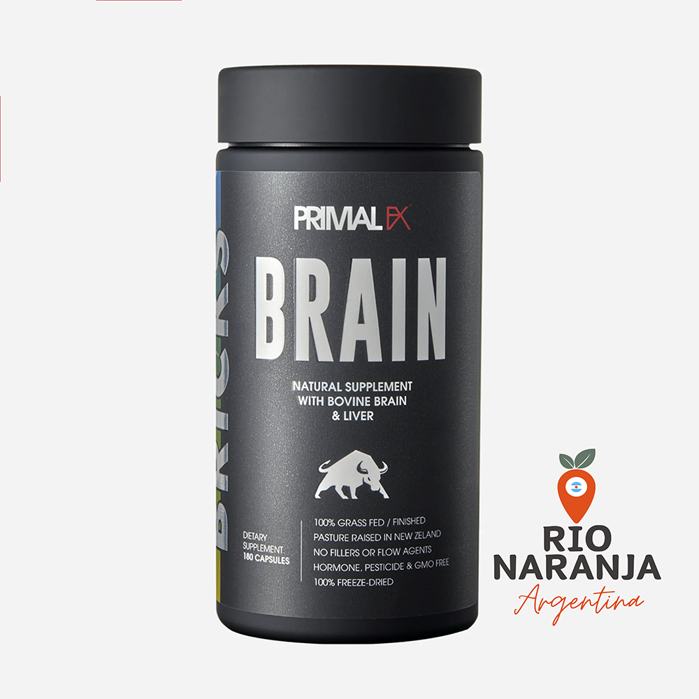 BRICKS - BRAIN