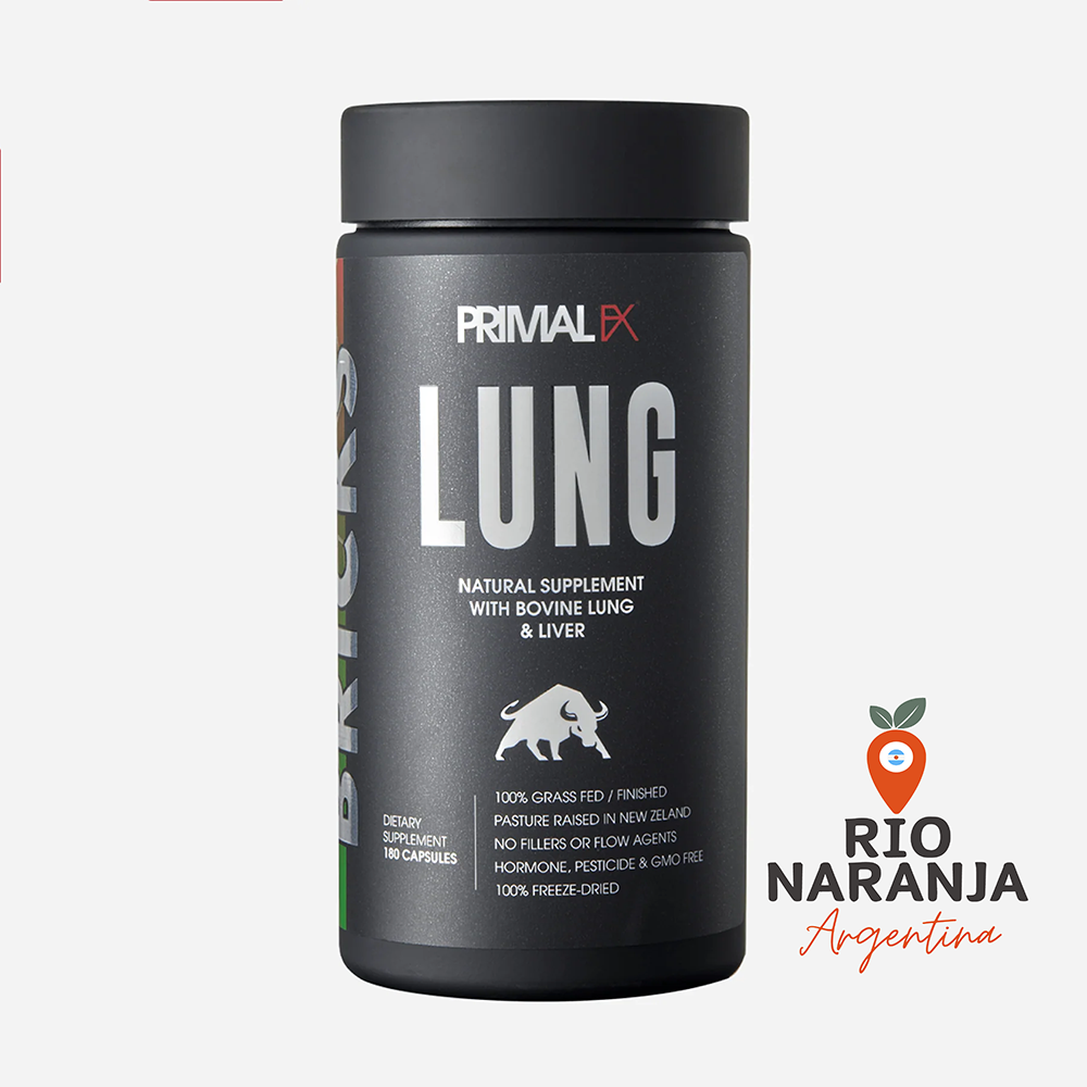 BRICKS - LUNG