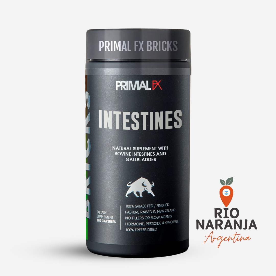 BRICKS - INTESTINES