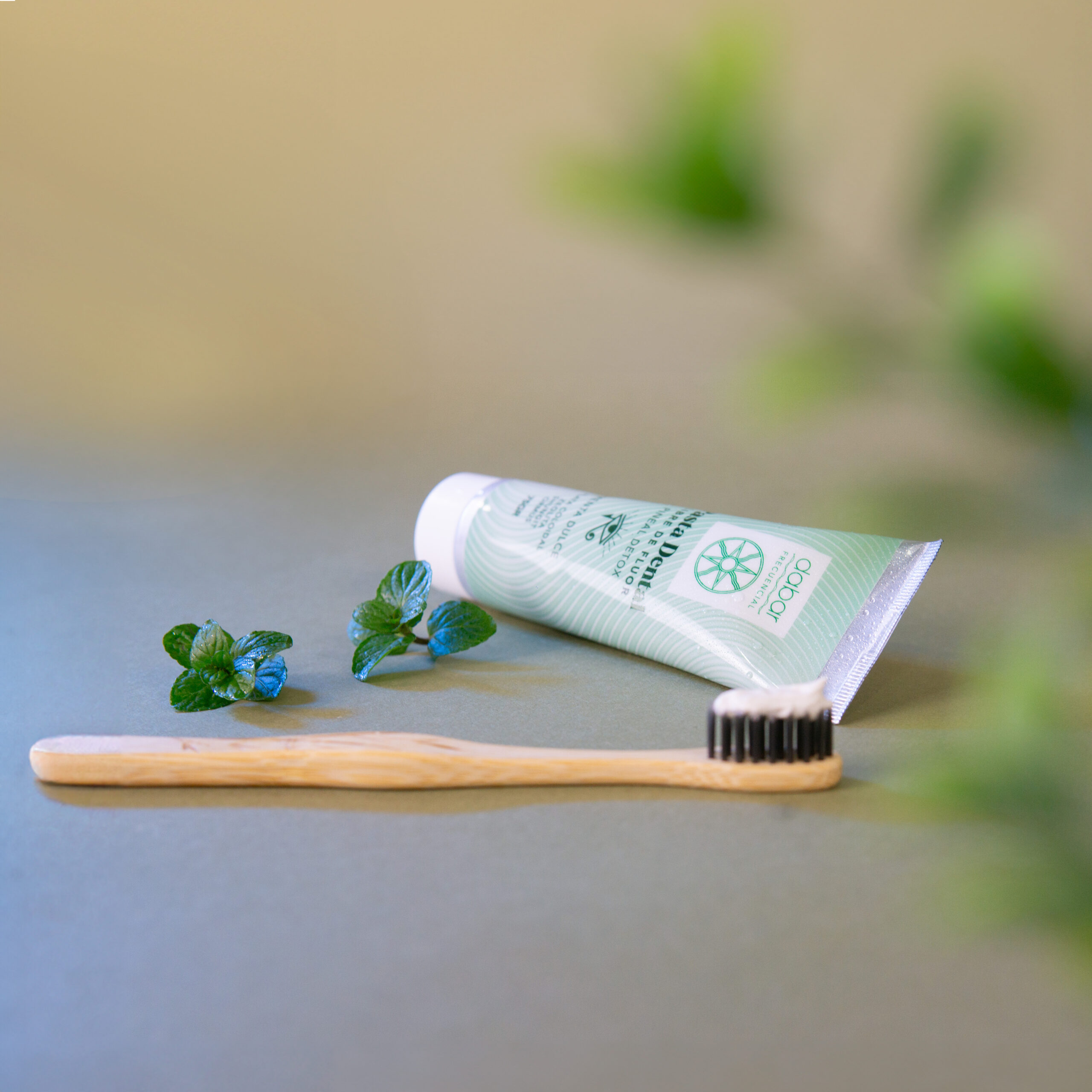 Pasta Dental Libre de Fluor  75g.  Menta