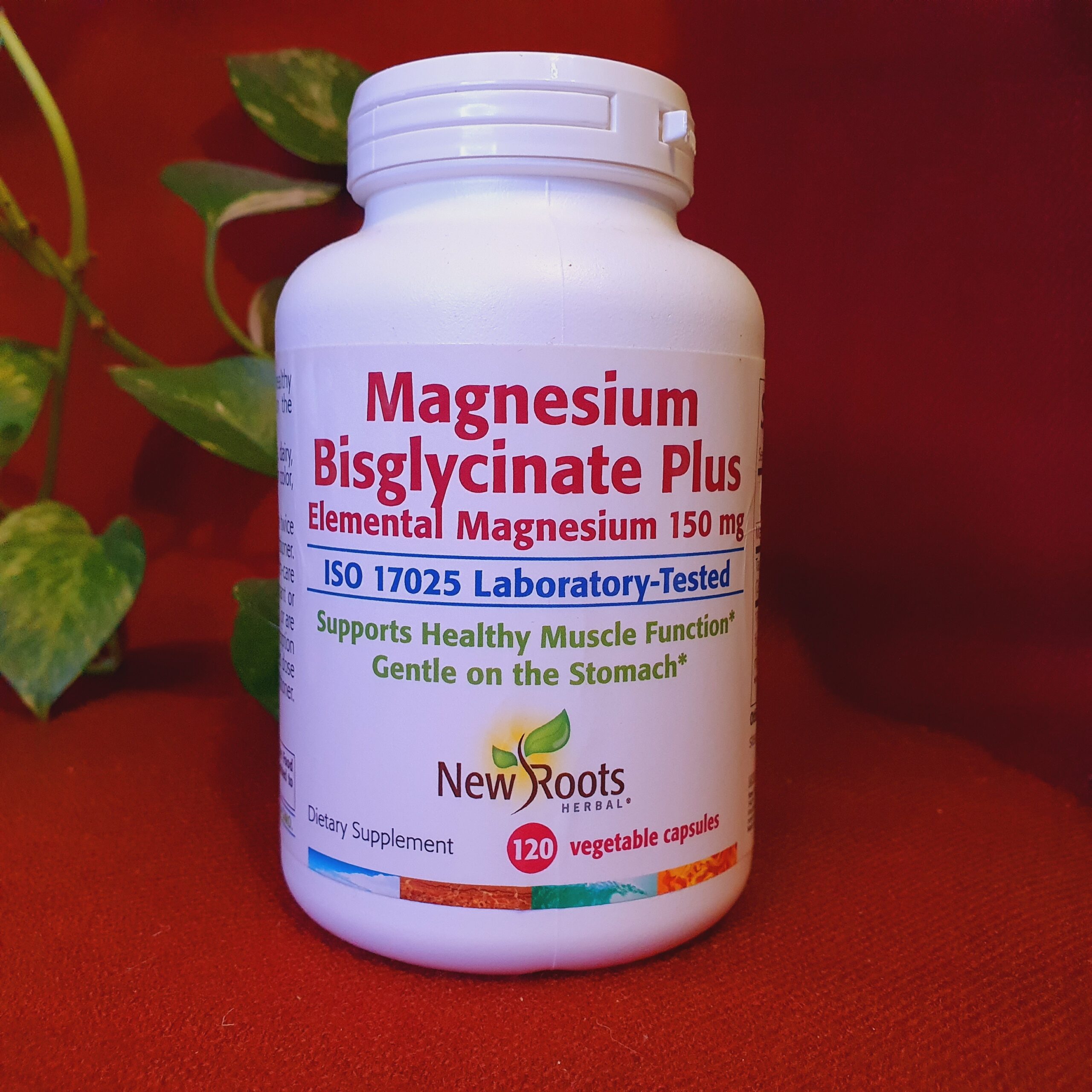 Bisglicinato de Magnesio Plus 120 cápsulas